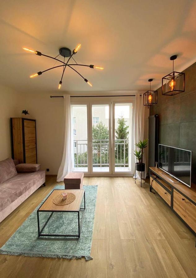 Luxury Apartment Near The Old Town Of Βαρσοβία Εξωτερικό φωτογραφία